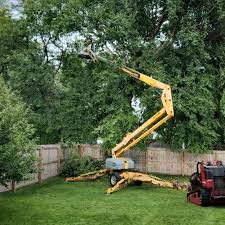 Best Storm Damage Tree Cleanup  in Culloden, WV