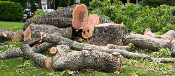 Best Emergency Tree Removal  in Culloden, WV